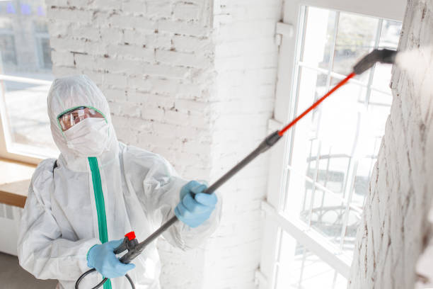Best Mold Documentation for Insurance Claims  in Swedesboro, NJ