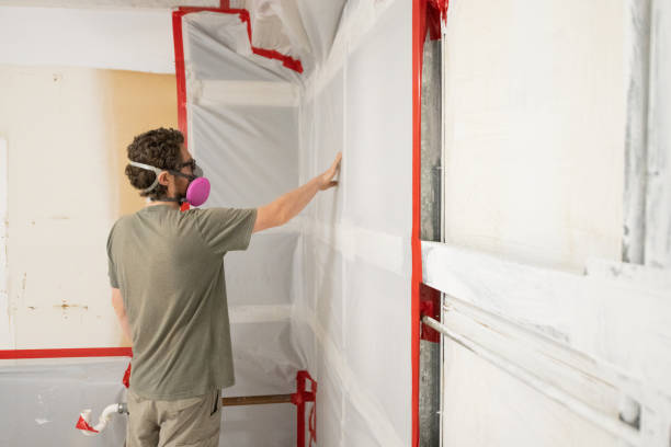 Best Airborne Mold Testing  in Swedesboro, NJ