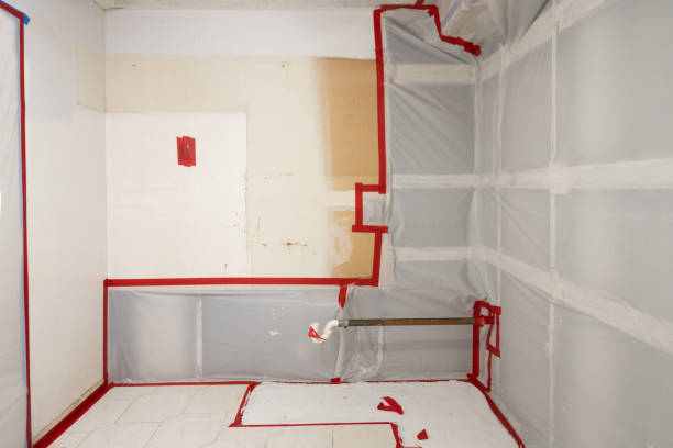 Best Mold Remediation for Healthcare Facilities  in Swedesboro, NJ