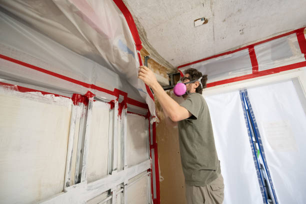 Best Post-Remediation Verification Testing  in Swedesboro, NJ