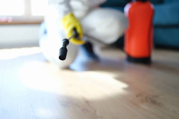 Best Residential Mold Inspection & Testing  in Swedesboro, NJ