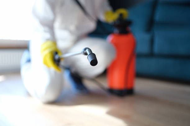 Dehumidification Services in Swedesboro, NJ