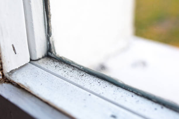 Best Asbestos and Lead Testing During Mold Inspection  in Swedesboro, NJ