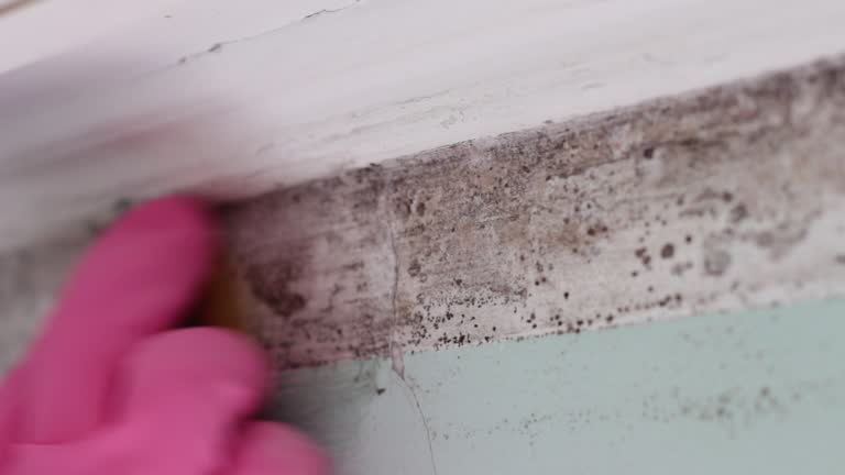 Best Forensic Mold Investigation  in Swedesboro, NJ